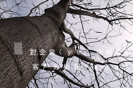 對企業(yè)逾期貸款案例分析(貸款逾期客戶分析報(bào)告)