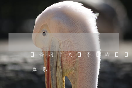 對信用卡欠錢不還的處罰(信用卡欠債不還的后果)