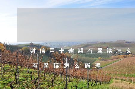 對信用卡逾期有異議怎么辦-對信用卡逾期有異議怎么辦理