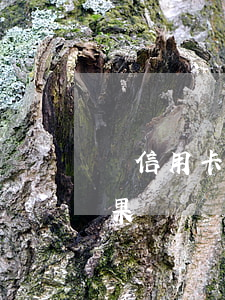 對信用卡逾期的看法(10張信用卡逾期的后果)