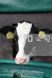 對公司人格否認(rèn)常見情形的理解
