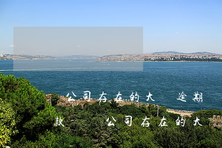 對公司存在的大額逾期應(yīng)收賬款-對公司存在的大額逾期應(yīng)收賬款怎么處理