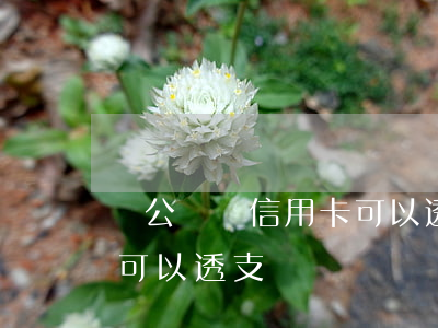 對公賬戶信用卡可以透支嗎(對公賬戶信用卡可以透支嗎)