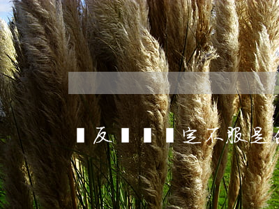 對反傾銷決定不服是否可以直接提起訴訟