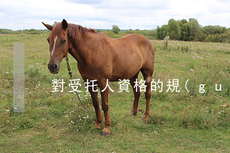 對受托人資格的規(guī)定有哪些