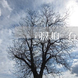 對司法拍賣有異議怎么處理