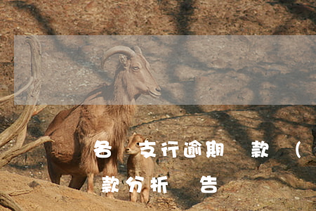 對各個支行逾期貸款統(tǒng)計(逾期貸款分析報告)