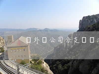 對外國公司分支營業活動監管的內容有哪些