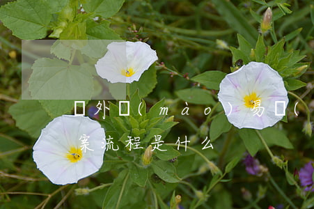 對外貿(mào)易經(jīng)營者備案流程是什么