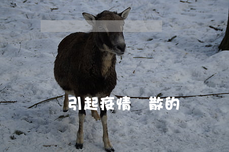 對引起疫情擴散的處罰