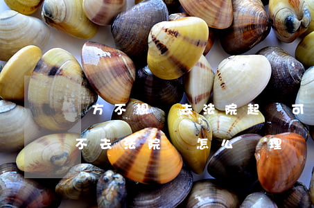 對方不想還去法院起訴可以嗎(起訴之后對方不去法院會怎么處理)