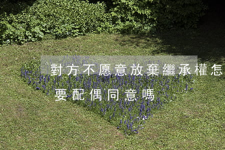對方不愿意放棄繼承權怎么辦(放棄繼承權需要配偶同意嗎?)