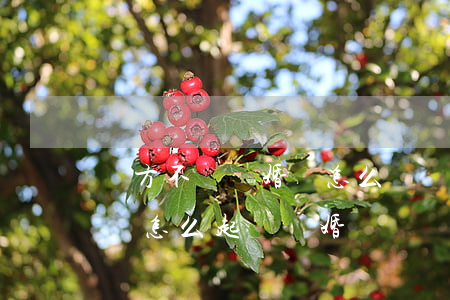 對方不給結婚證怎么訴訟離婚(男方不給結婚證怎么起訴離婚)