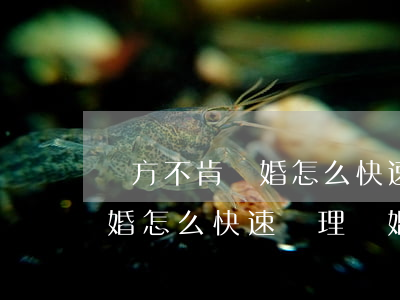 對方不肯離婚 怎么快速辦理離婚(對方不肯離婚 怎么快速辦理離婚)