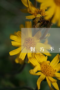 對方不肯離婚怎么辦