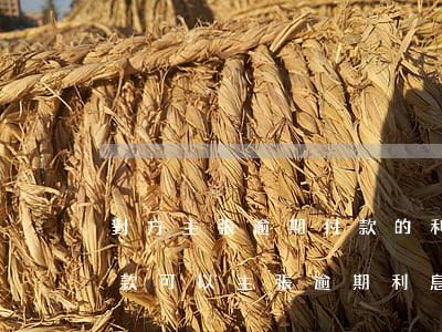 對方主張逾期付款的利息如何抗辯-逾期付款可以主張逾期利息嗎