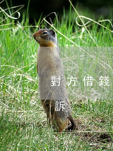 對方借錢不還怎樣起訴（對方借錢不還怎樣起訴）