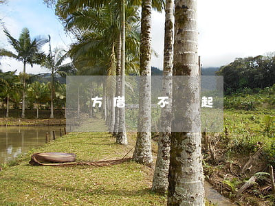 對方借錢不還起訴嗎