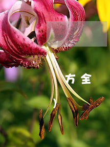 對方全責(zé)索賠多少誤工費(fèi)
