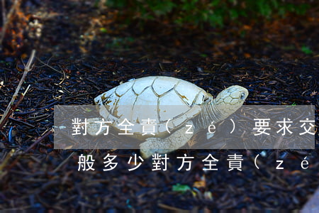 對方全責(zé)要求交通費(fèi)一般多少(對方全責(zé) 怎么要交通費(fèi)大概多少)