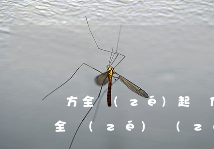 對方全責(zé)起訴他需要什么資料(對方全責(zé),責(zé)任認(rèn)定書下來怎么賠)