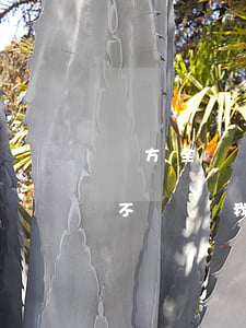 對方全責不賠錢 怎么起訴(發生事故對方全責不賠償我怎么辦)