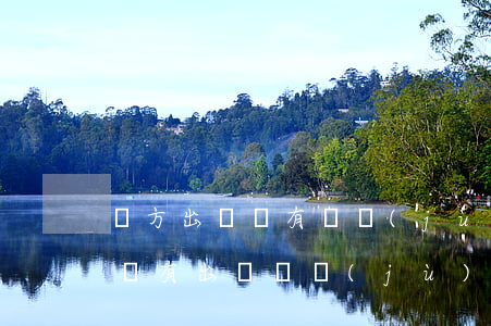 對方出軌沒有證據(jù)律師可以拿到嗎(沒有出軌證據(jù)法庭上能說嗎)