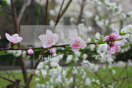 對方出軌起訴離婚答辯狀怎么寫(因出軌離婚的民事起訴狀)