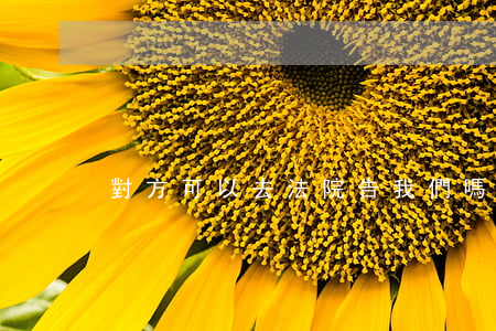 對方可以去法院告我們嗎(告法院往哪告)