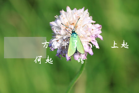 對方坐牢了可以網上起訴離婚嗎(被告坐牢,如何起訴離婚)
