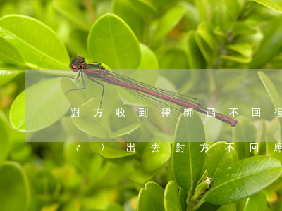 對方收到律師函不回復怎么辦(律師函發(fā)出去對方不回應怎么辦)