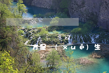 對方是學(xué)生無力償還