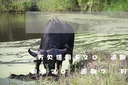 對方欠信用卡20萬逾期7個月-對方欠信用卡20萬逾期7個月怎么辦