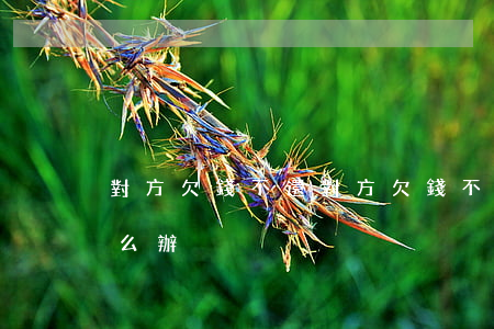 對方欠錢不還(對方欠錢不還起訴后還不還怎么辦)