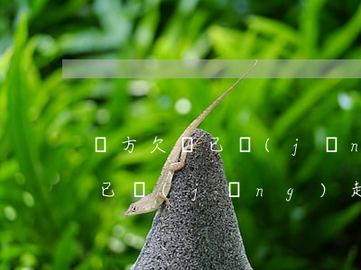 對方欠錢已經(jīng)起訴嗎(對方欠錢已經(jīng)起訴嗎怎么辦)