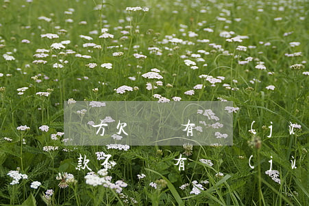 對方欠錢沒有證據(jù)怎么處理(對方欠款不還,沒有證據(jù)怎么辦)