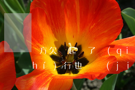 對方欠錢起訴了強(qiáng)制執(zhí)行也沒結(jié)果-對方欠錢起訴了強(qiáng)制執(zhí)行也沒結(jié)果怎么辦