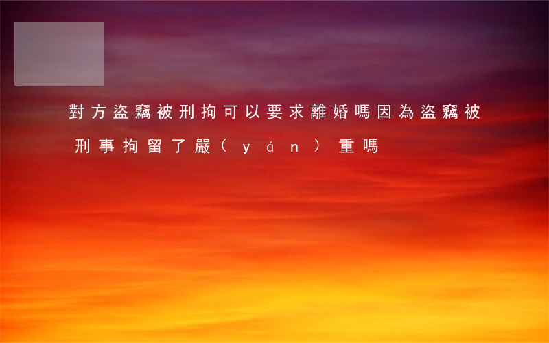 對方盜竊被刑拘可以要求離婚嗎(因為盜竊被刑事拘留了嚴(yán)重嗎)