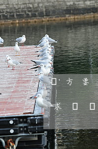 對方要求賠償車損(事故全責(zé)對方要求賠償車損)