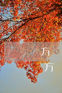 對方轉(zhuǎn)賬他可以去法院告嗎(對方轉(zhuǎn)賬他可以去法院告嗎)