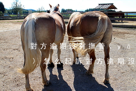 對方逾期沒有撫養(yǎng)費(fèi)怎么起訴(對方逾期沒有撫養(yǎng)費(fèi)怎么起訴)