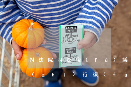 對法院司懲復(fù)議不服可以申訴嗎(執(zhí)行復(fù)議被駁回后是否能申請執(zhí)行異議之訴)