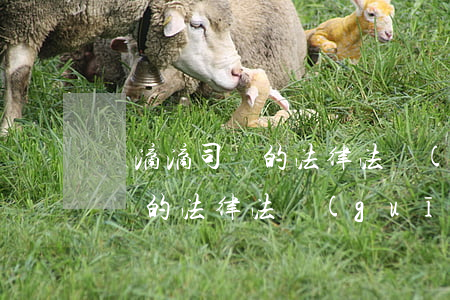 對滴滴司機的法律法規(guī)(對滴滴司機的法律法規(guī))