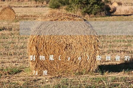 對物業(yè)委員會的監(jiān)管力度