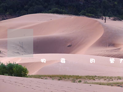 對物業委員會的監管力度