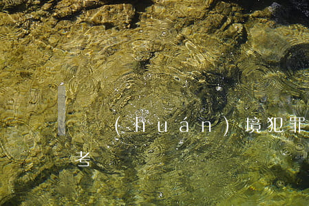 對環(huán)境犯罪刑事立法的幾點思考