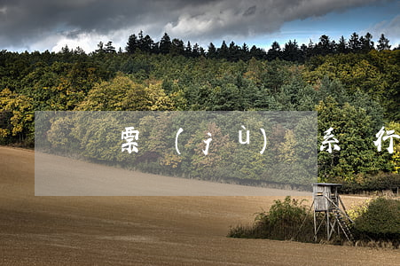 對票據(jù)關系進行名詞解釋