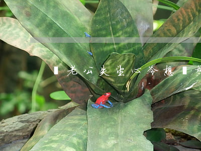 對老公失望心冷想離婚