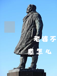 對老婆不滿意離婚該怎么辦(想離婚老婆不同意怎么辦)