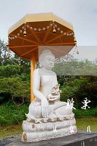 對股票名稱有誤解 受讓人起訴撤銷轉(zhuǎn)讓合同